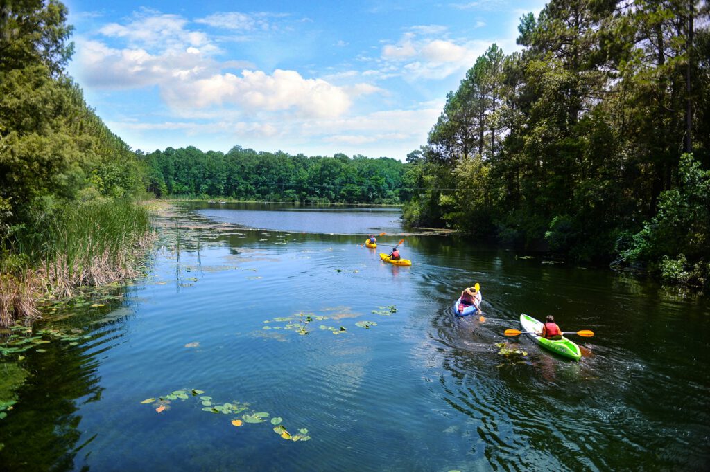Overhead view of 5 kayakers on a lake.