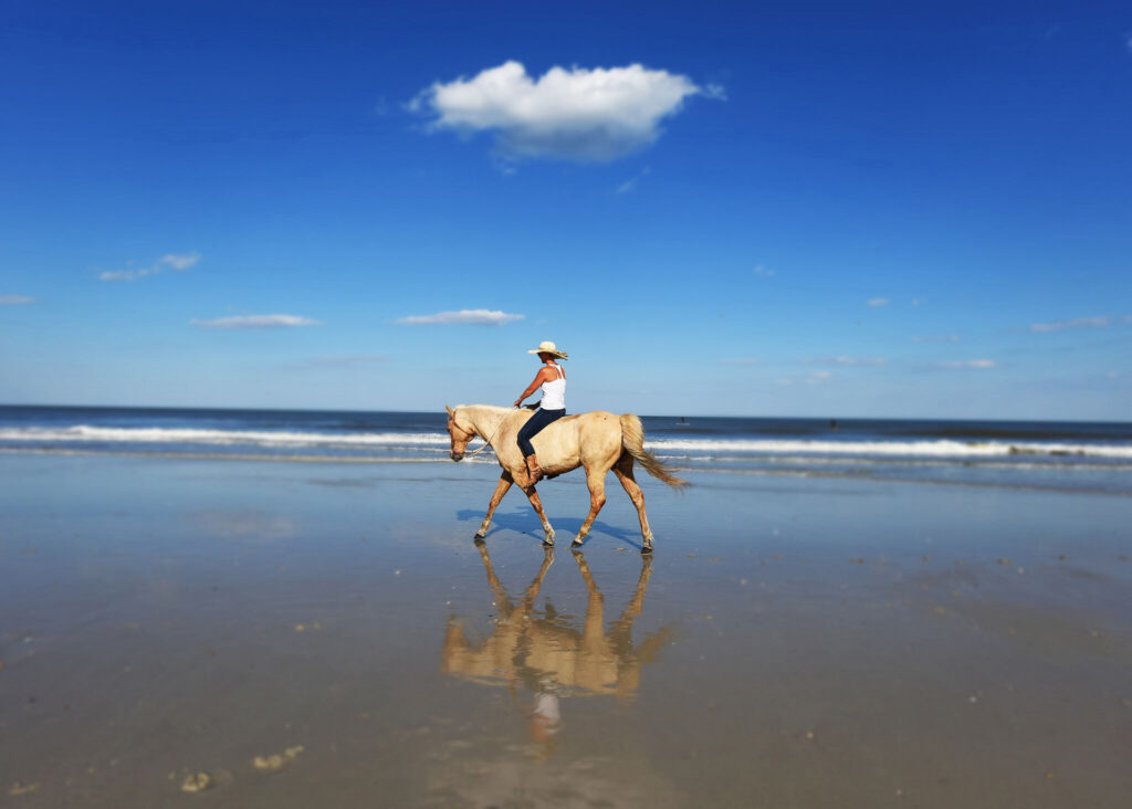 Fernandina